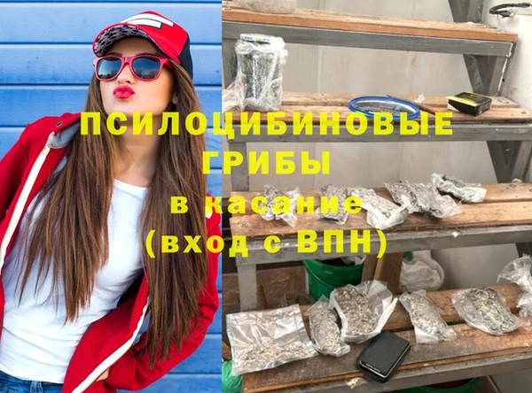 ешки Алексин