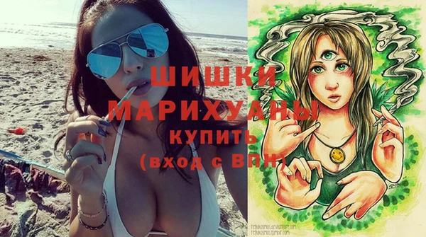 стаф Мегион