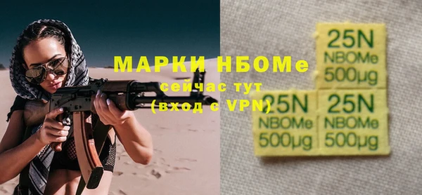 ешки Алексин