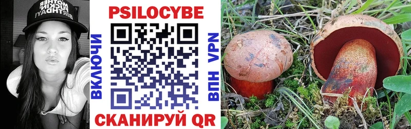 цена   Холм  Галлюциногенные грибы прущие грибы 
