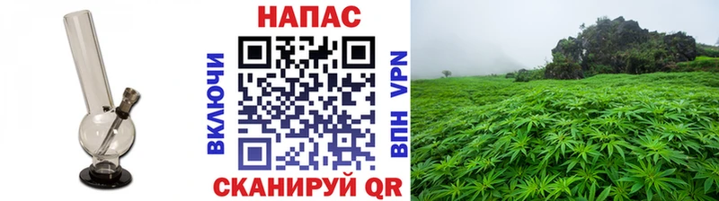 Канабис тримм  Холм 